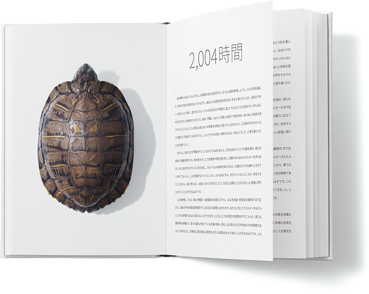 2004時間